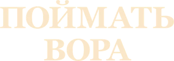 Поймать вора