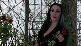 Семейка Аддамс