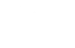 Шрек навсегда