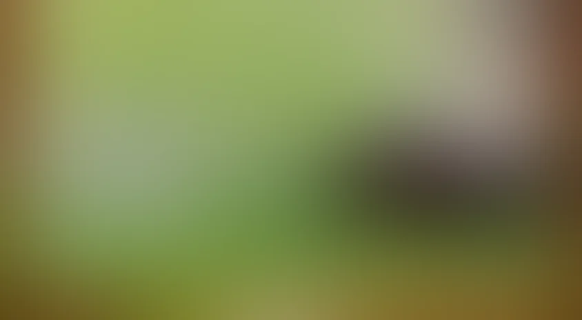 Мы с Шерлоком Холмсом