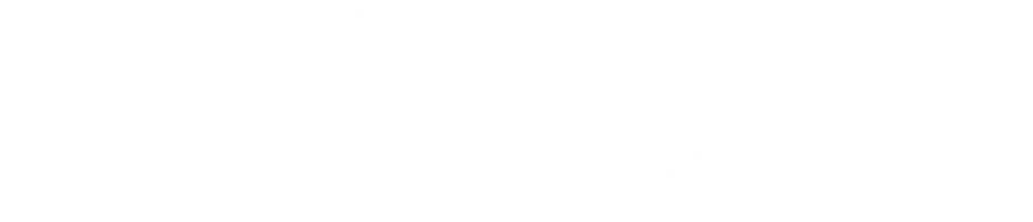 Концерт в Великом Новгороде. Видеожурнал «СУП». Сергей Орлов