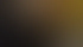 Максимальный срок