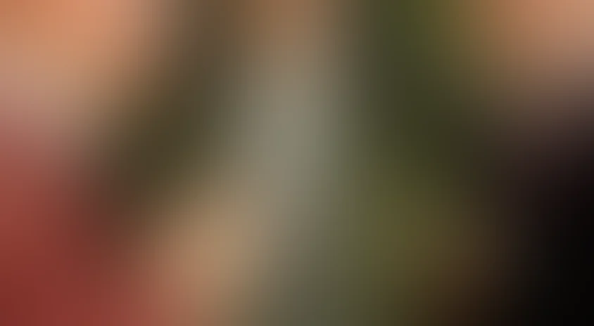 Високосный год