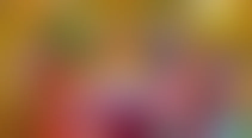 Ноев ковчег