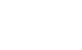 Любовь к жизни
