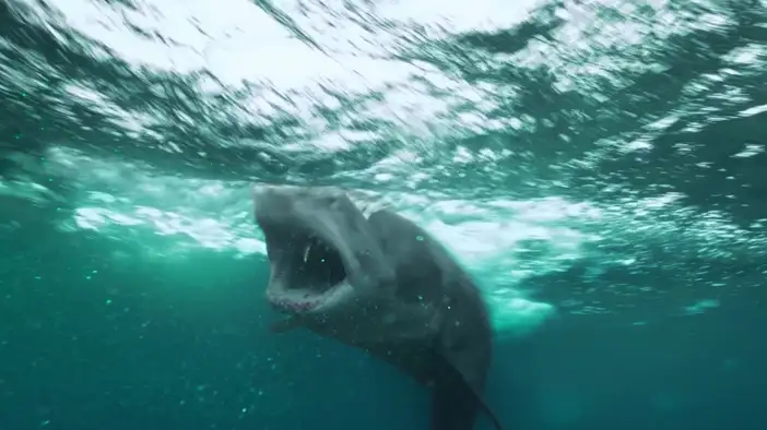 Трейлер (дублированный)