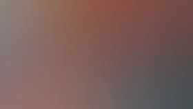 Летучая мышь (2005)