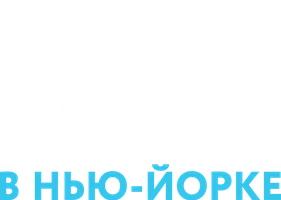 Прошлой ночью в Нью-Йорке (фильм 2009)