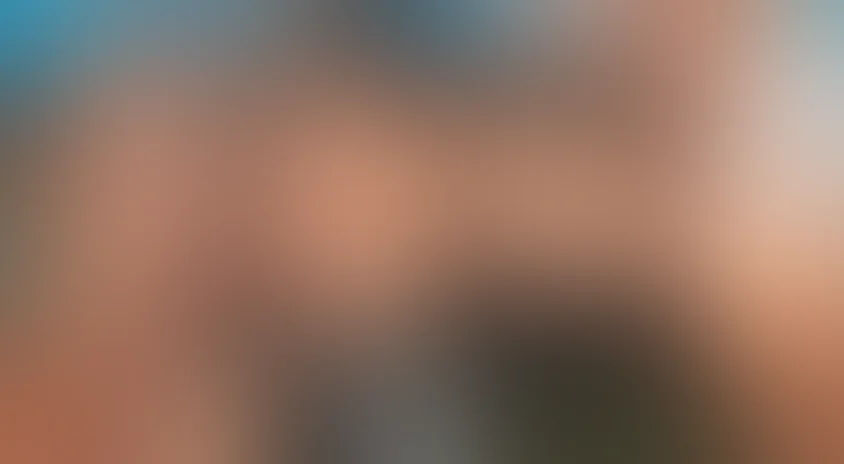 Кот в мешке