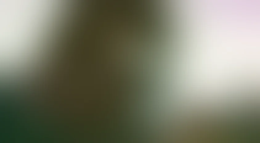 Трубка и медведь