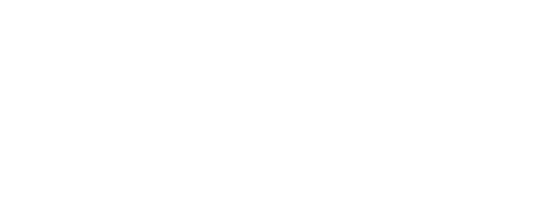 Ночные ястребы