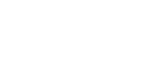 Сцены из супружеской жизни