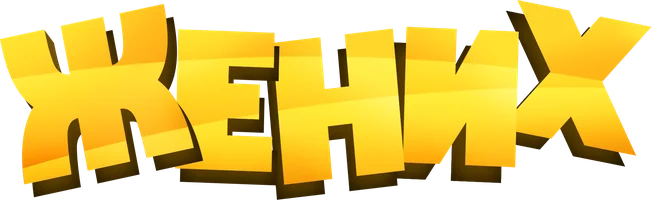 Жених (фильм 2016)