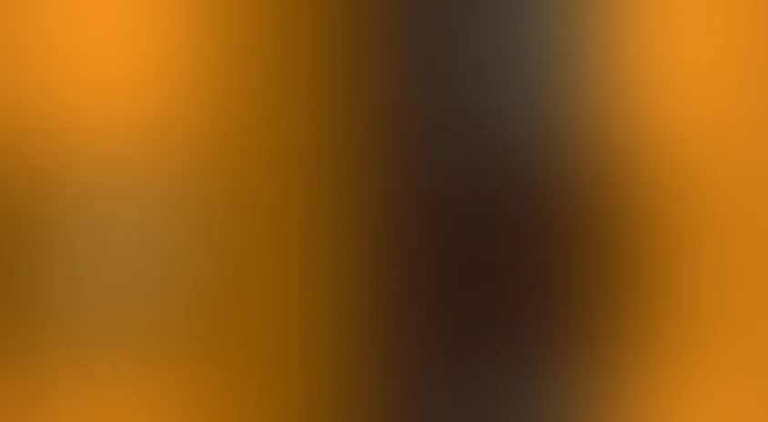 +1 (Плюс один)