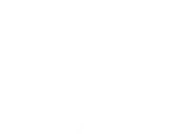 Qadrli X