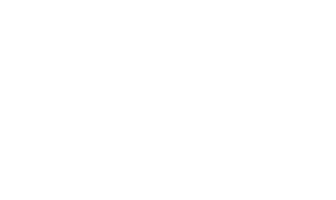 Пальмы в снегу