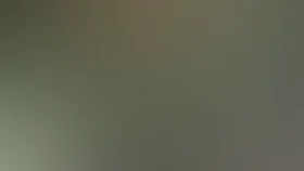 Гардемарины – III