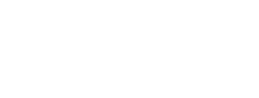 Девушка-невидимка