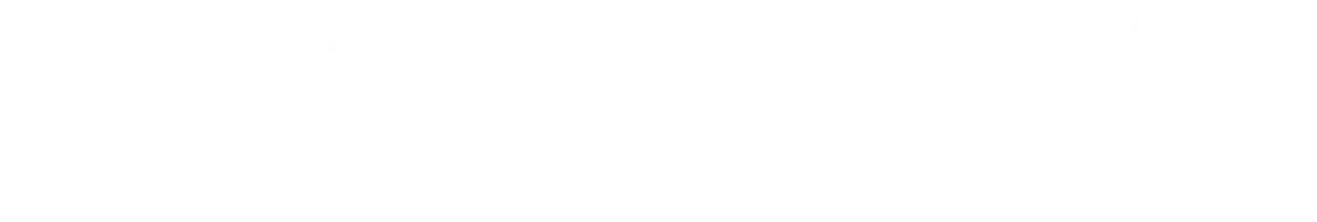 Профессионал (фильм 2024)