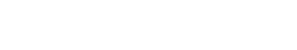 Фильм Профессионал