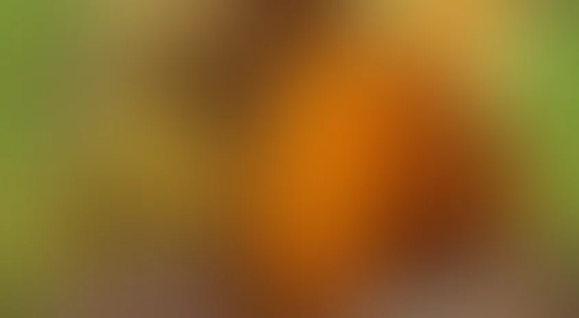 Случай в тайге