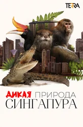 Дикая природа Сингапура