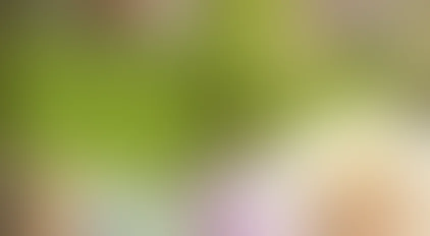 Путешествия пана Кляксы