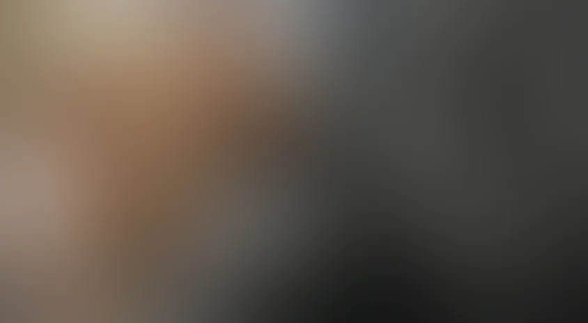 Правосудие волков