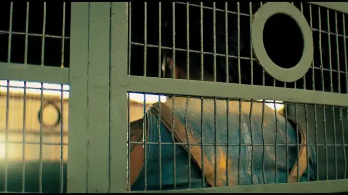 Трейлер (русский язык)