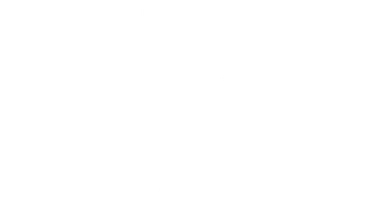 Девять котят в подарок