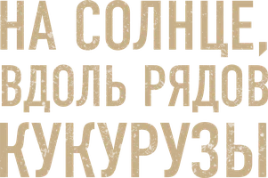 Фильм На солнце, вдоль рядов кукурузы смотреть онлайн