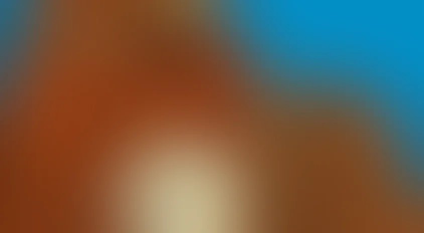 Белый котик