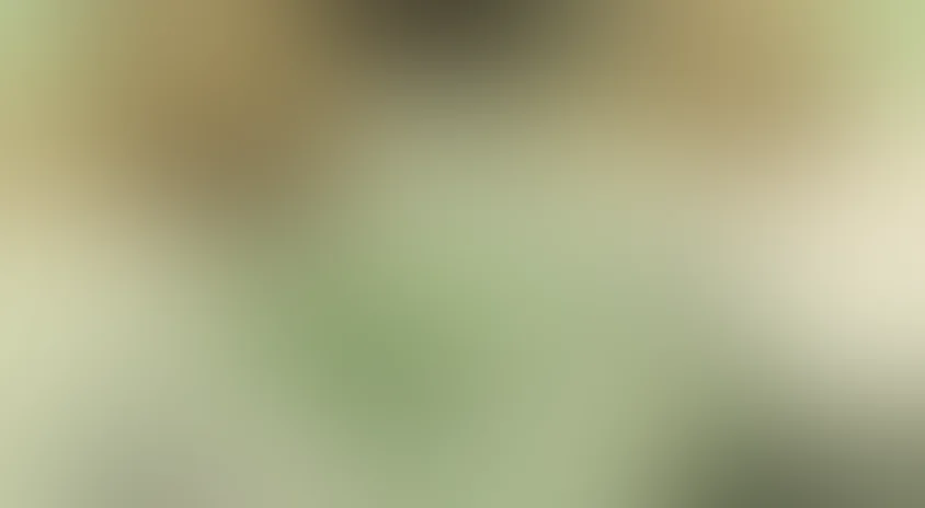 Легкие деньги