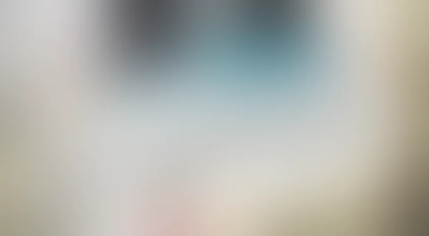 Снегирь (2009)