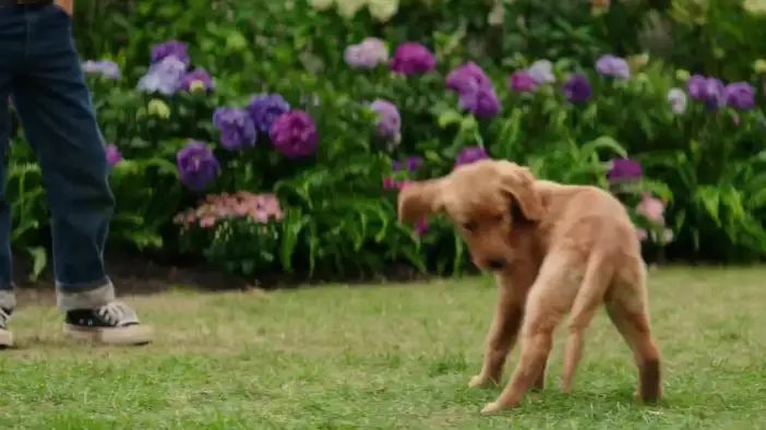 Фрагмент (английский язык)