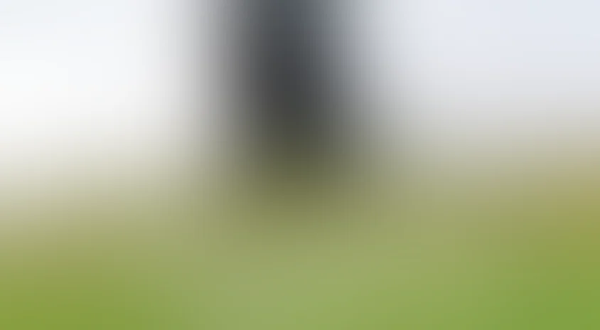 Серафина из Санлиса