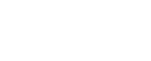 Гость
