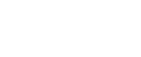 Фильм Гость