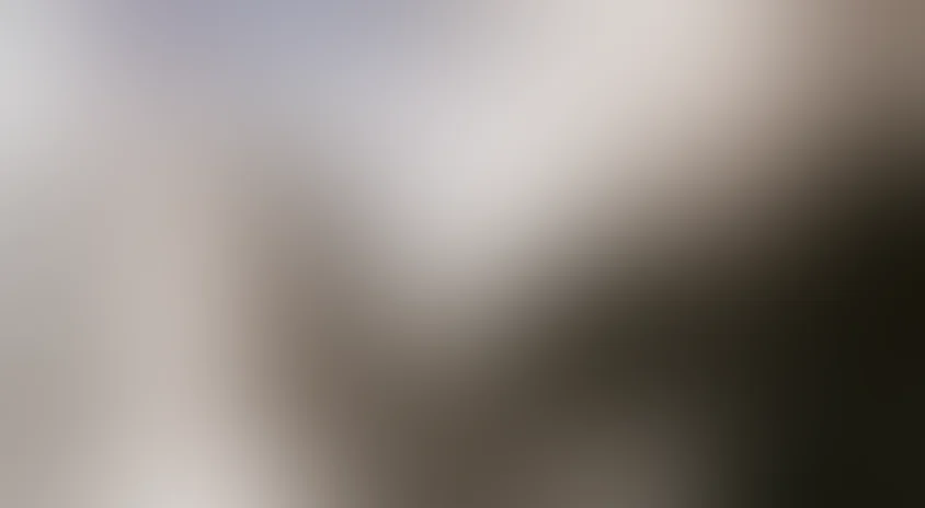 Алеша Птицын вырабатывает характер