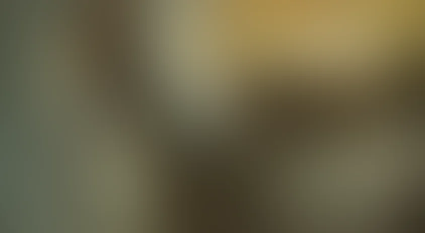 Полное затмение