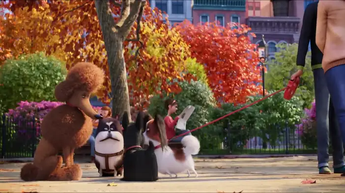 ТВ-ролик 2 (русский язык)