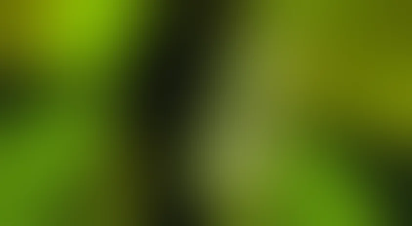 Я прихожу с дождем