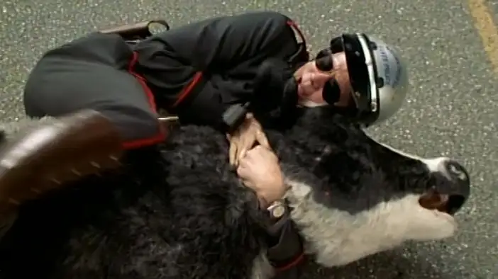 Трейлер (английский язык)