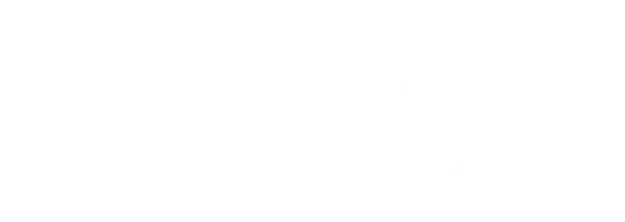 Жизнь ветеринара