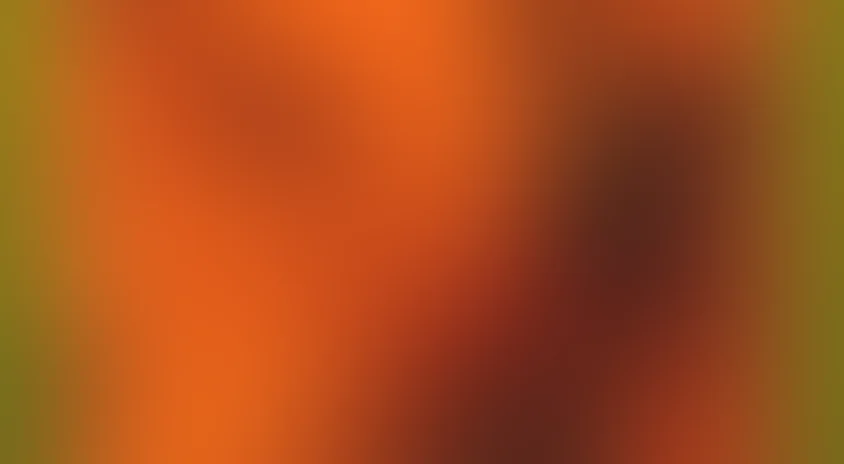 Квартира из сыра