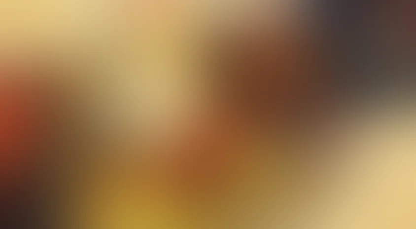 Кунг-фу Кролик