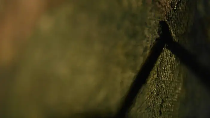 Трейлер 2 (дублированный)