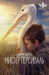Мой друг мистер Персиваль