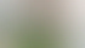 SуперКопы: Миссия «Бабушка»