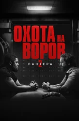 Охота на воров 2: Пантера